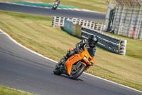 Lower Group Orange Bikes